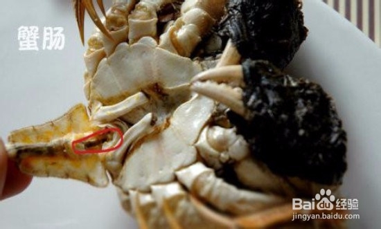 螃蟹应该怎么吃？