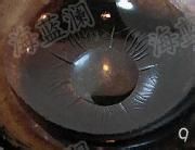 湘菜【农家小炒肉】的特殊做法