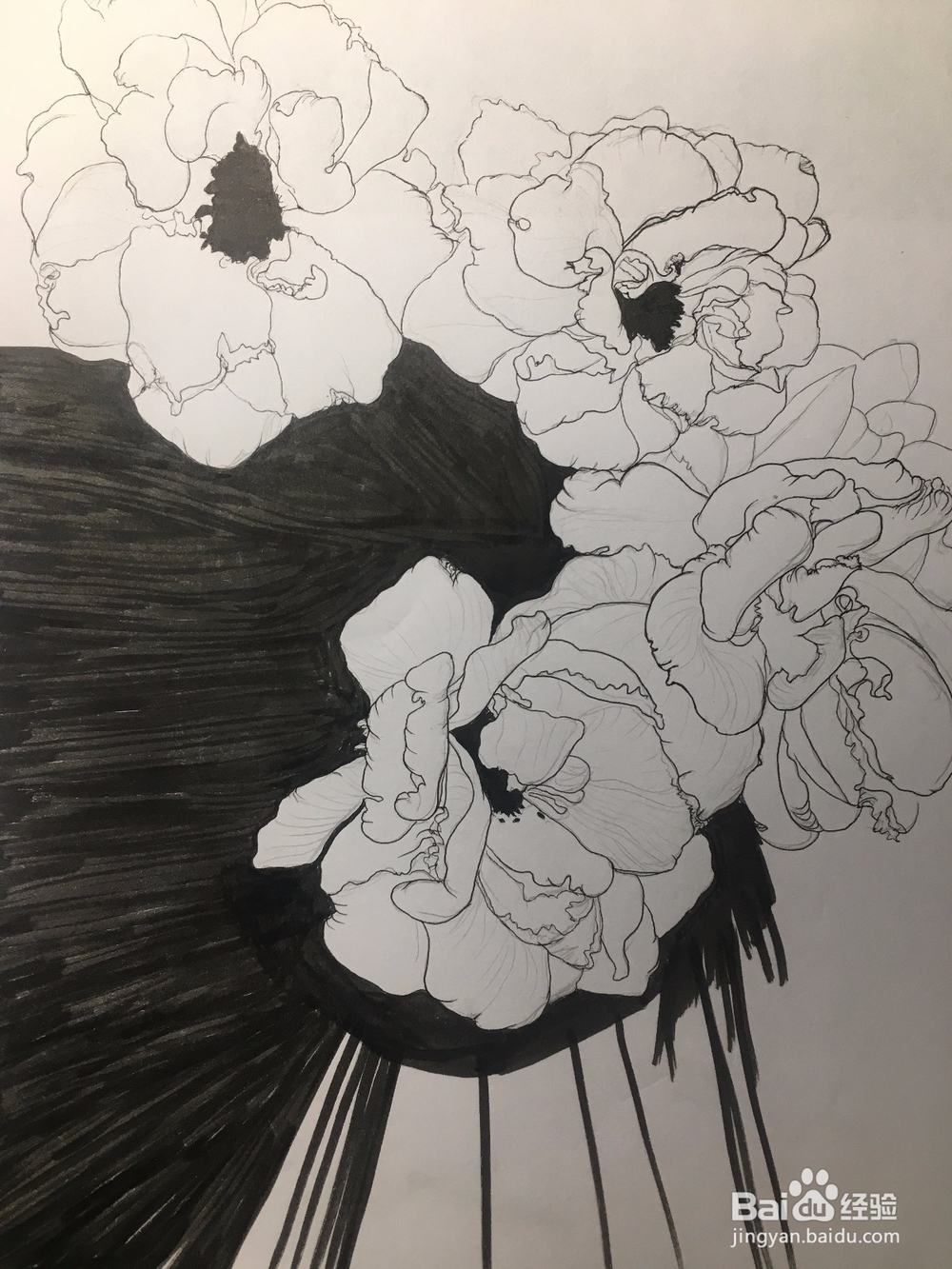 月季花的画法 月季简笔画 三朵月季的线描画教程