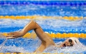 怎样更好的学习自由泳？