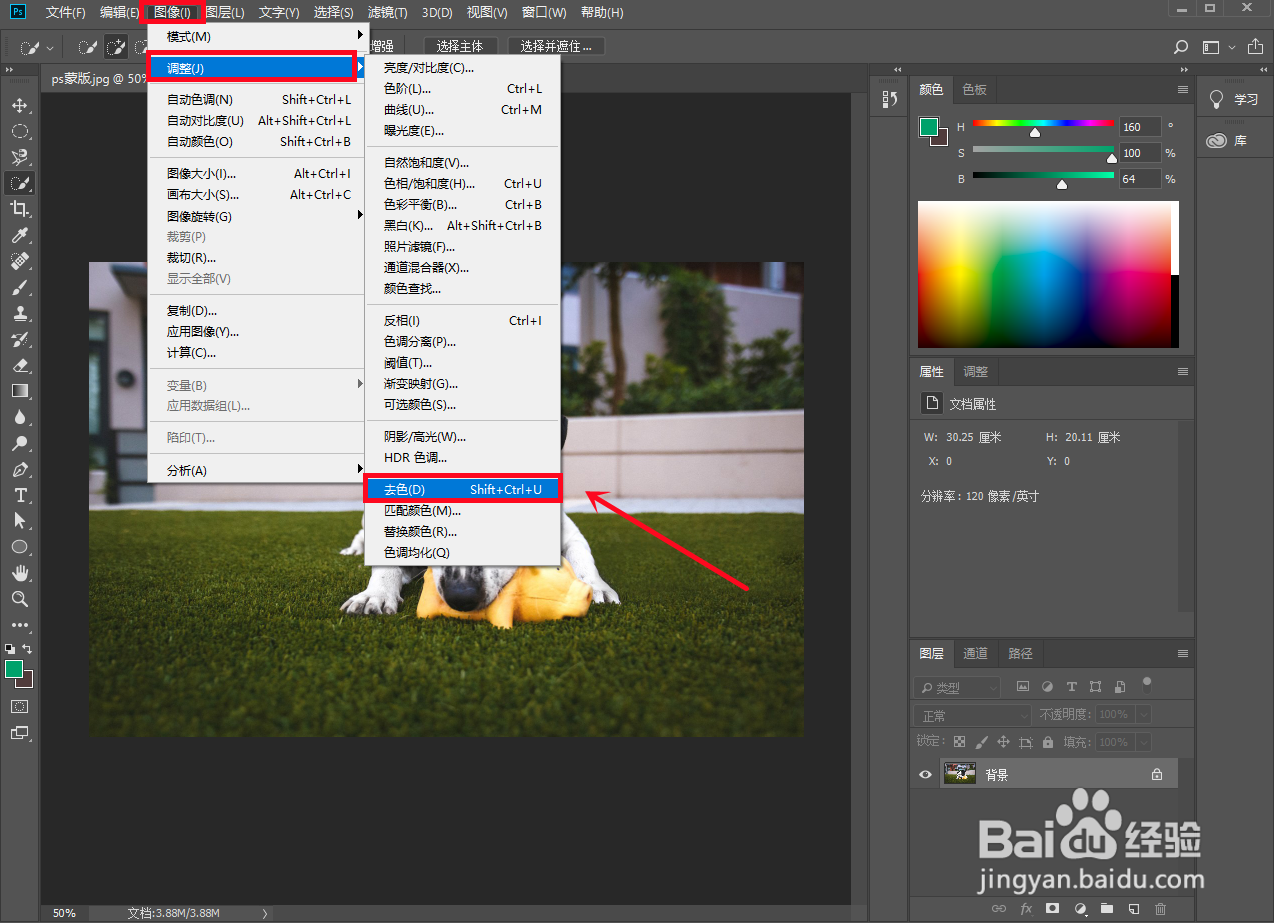 ps怎么给局部涂色