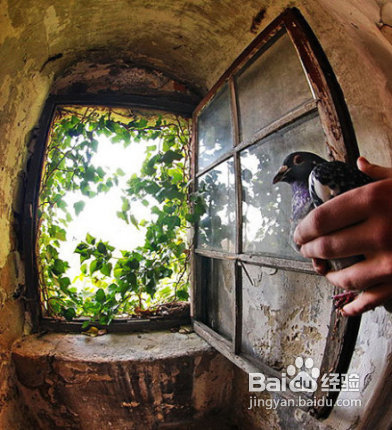 看外国摄影师是如何构图的