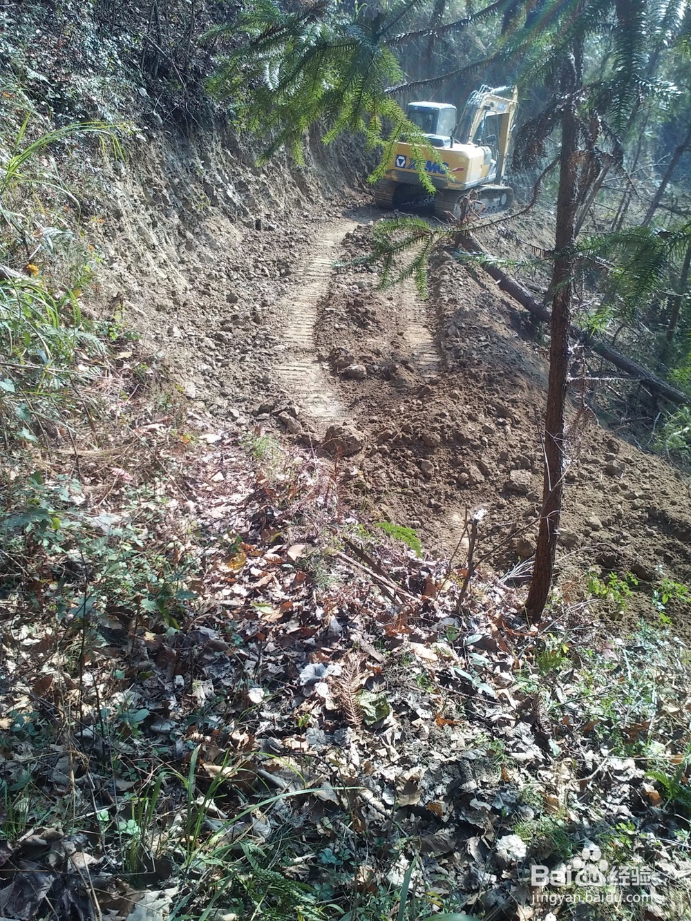 扶贫实现鸣凤人乡村旅游梦想记实