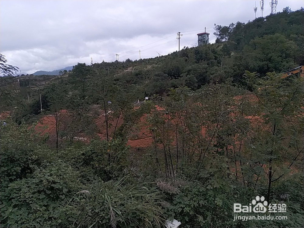 换填土处理路基施工的要求有哪些？