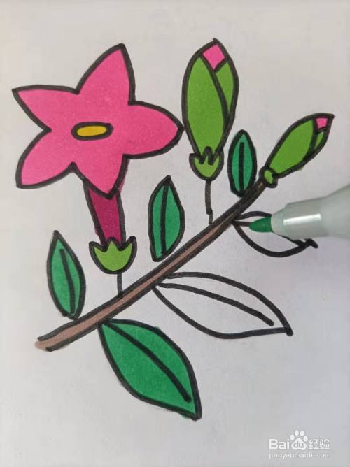 一段花枝的插画怎么画?