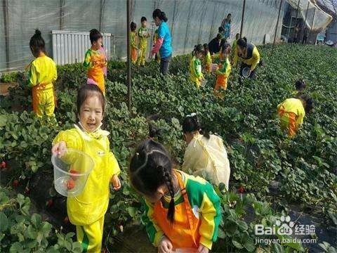 春天该领孩子去哪里玩?