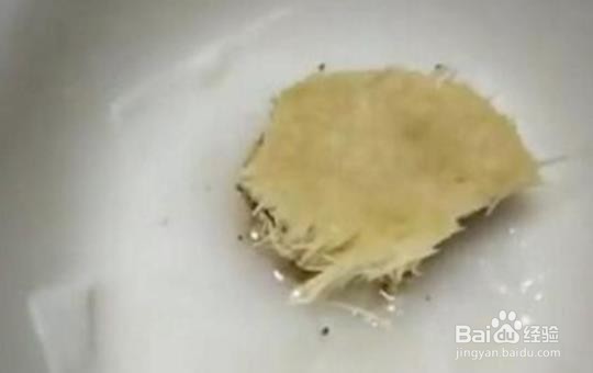 金针菇水培方法