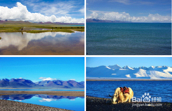 西藏周末去哪儿