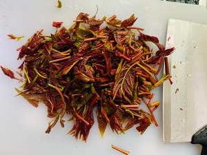 香椿煎鸡蛋的做法