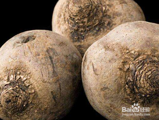 关于魔芋的种植方法