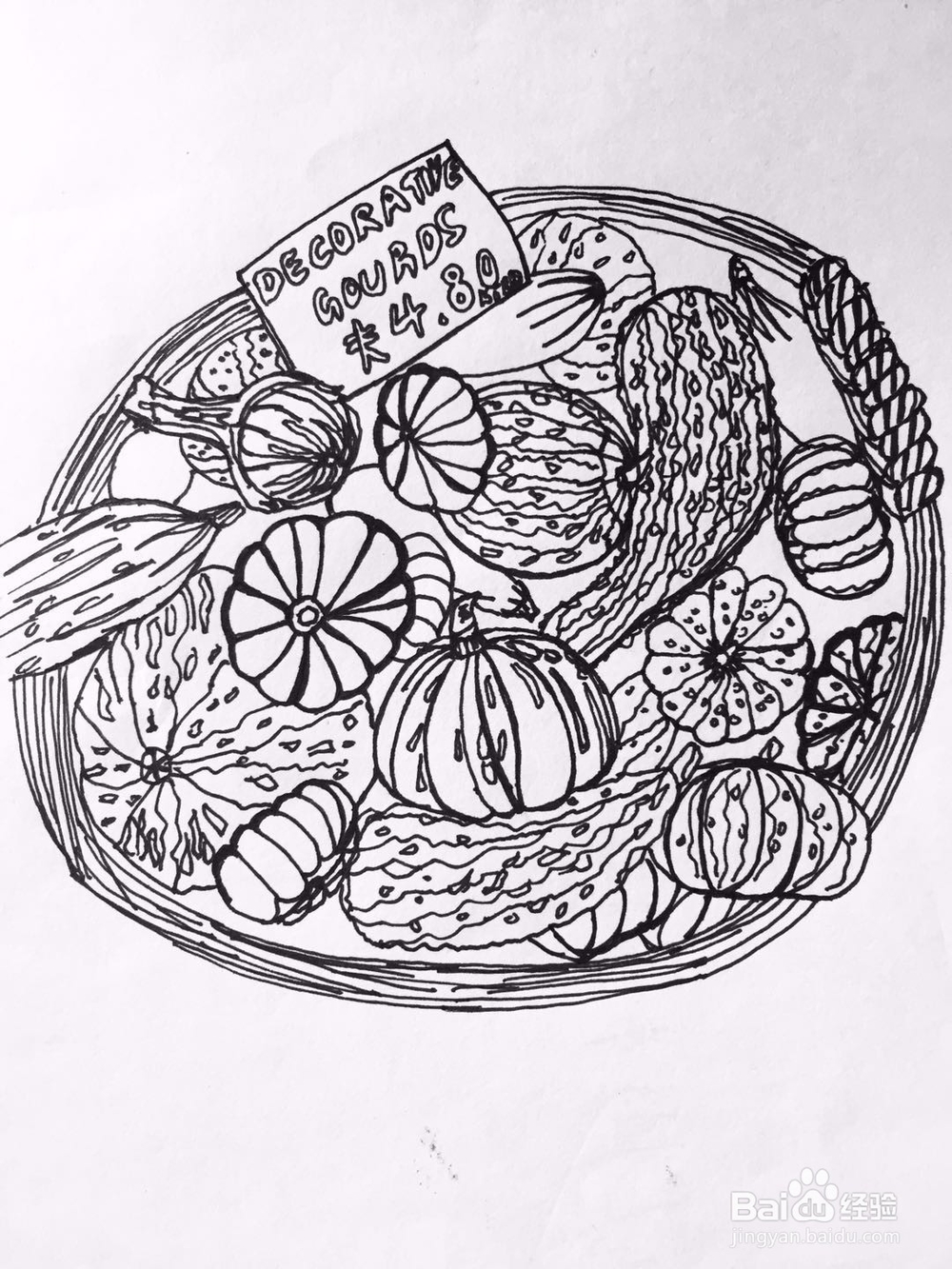茉莉手绘之南瓜军团