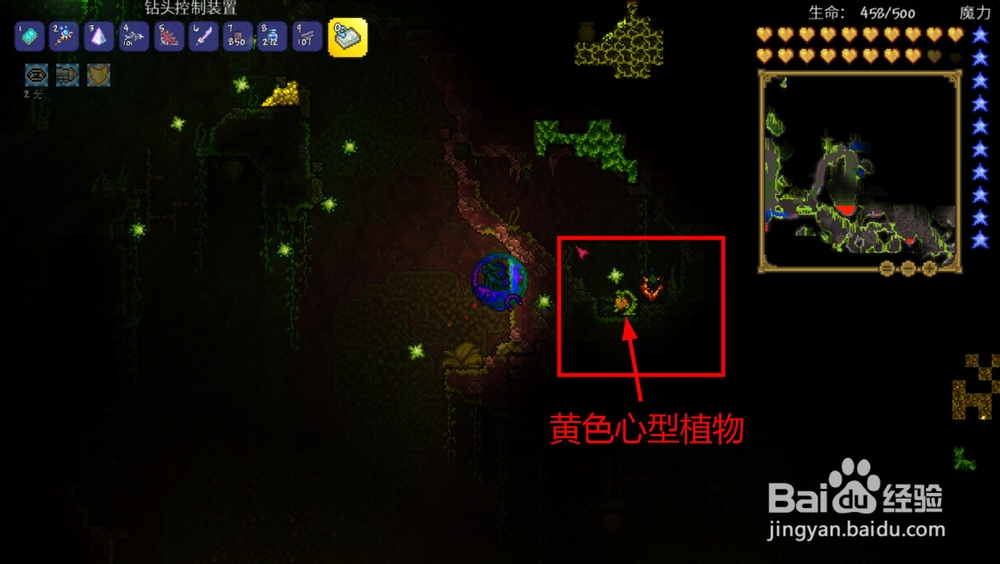 泰拉瑞亚如何提升最大生命值