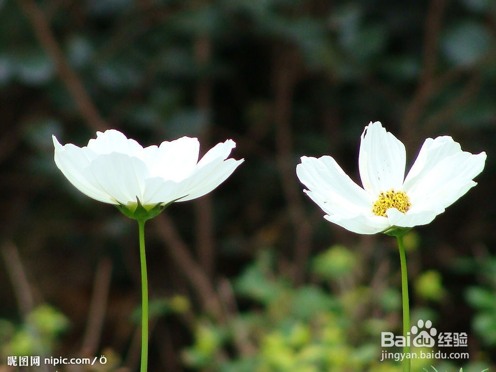 高一假期英语学法指导
