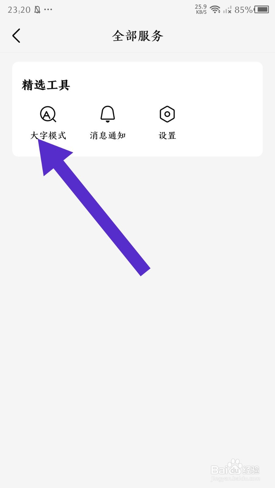 有柿app怎么开启大字模式