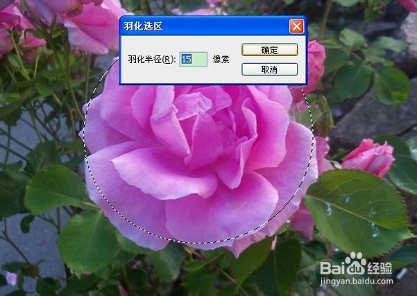 ps淘宝美工教程：[4]局部高光调制唯美图片