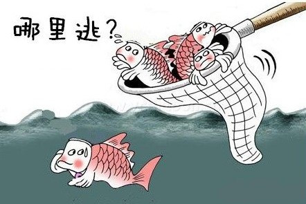 素质教育的漏网之鱼下一句