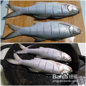食补佳品西红柿午鱼的做法