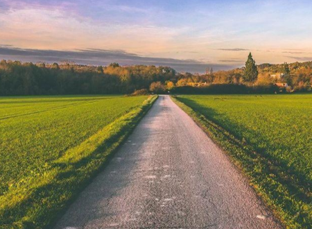 蒸蒸日上的更高端的词有什么