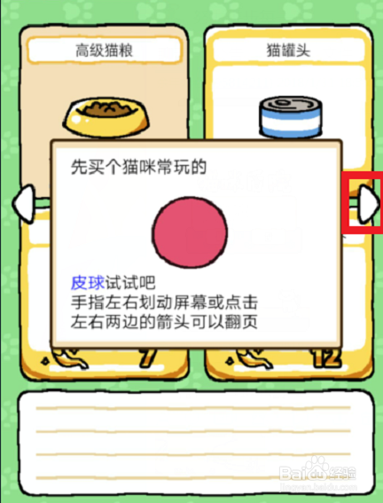 猫咪后院怎么摆放物品