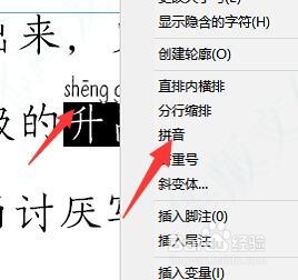 怎样在ID2017中更改文字拼音的字体