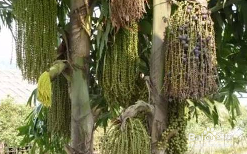 痒痒粉的简单制作方法