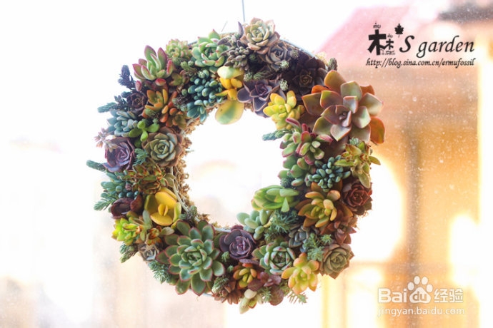 DIY-多肉植物花环