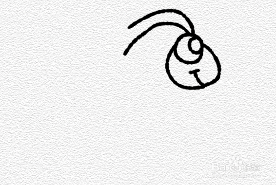 沙漠蝗虫简笔画