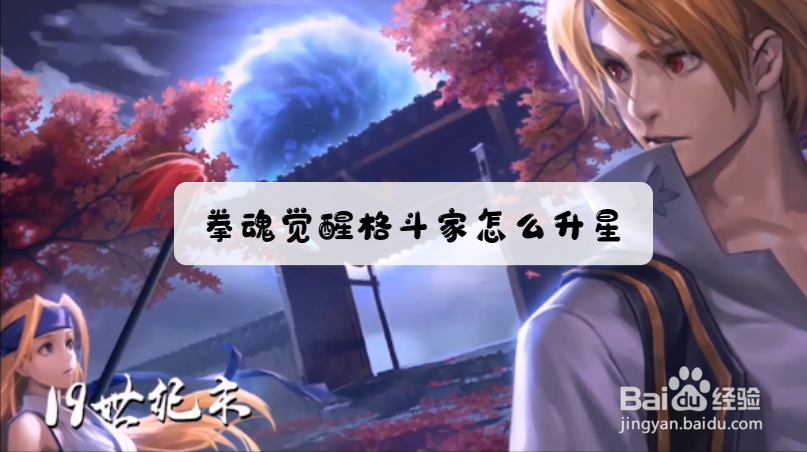 拳魂觉醒格斗家怎么升星