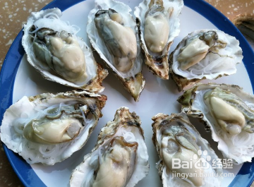 带壳生蚝怎么煮