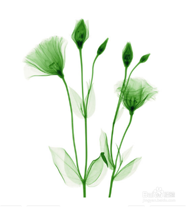 如何与陌生人打交道？