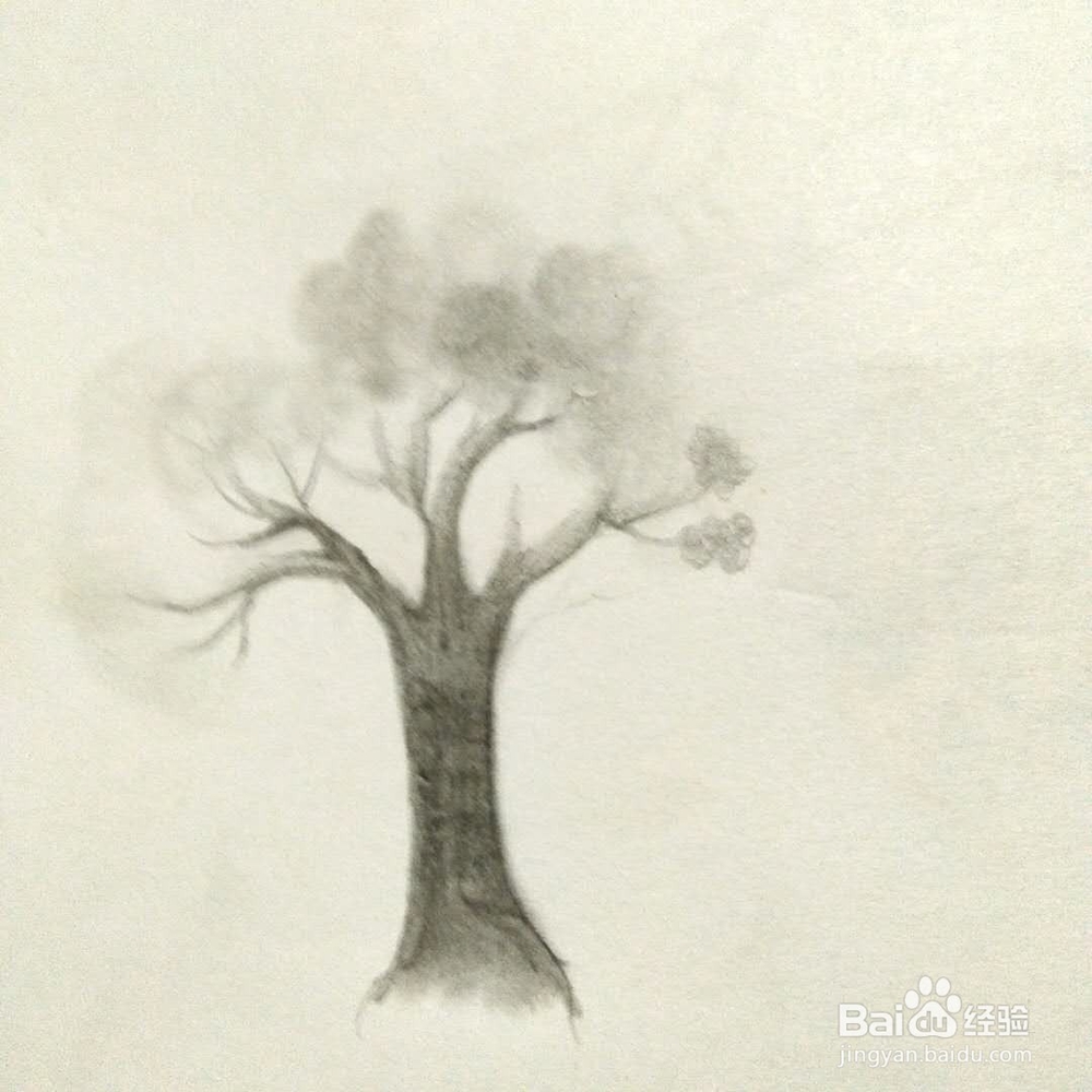 怎样画一颗树？