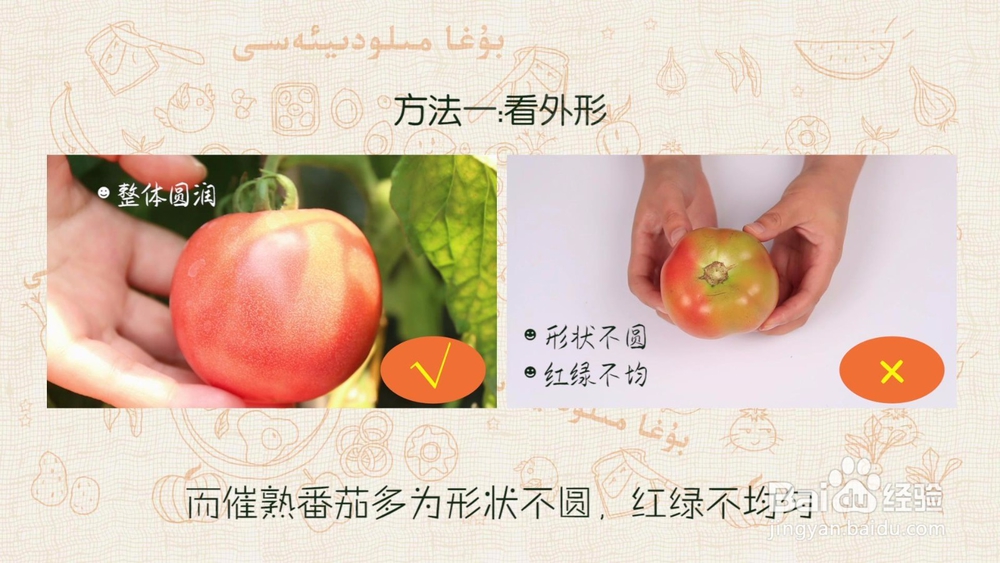 怎样辨别激素西红柿