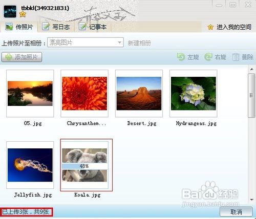 怎样快速将图片传到QQ空间
