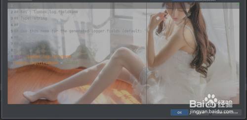 IntelliJ IDEA最新版如何设置图片背景