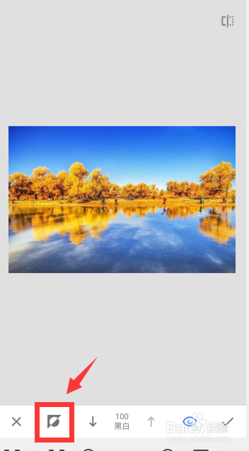 snapseed怎么局部彩色