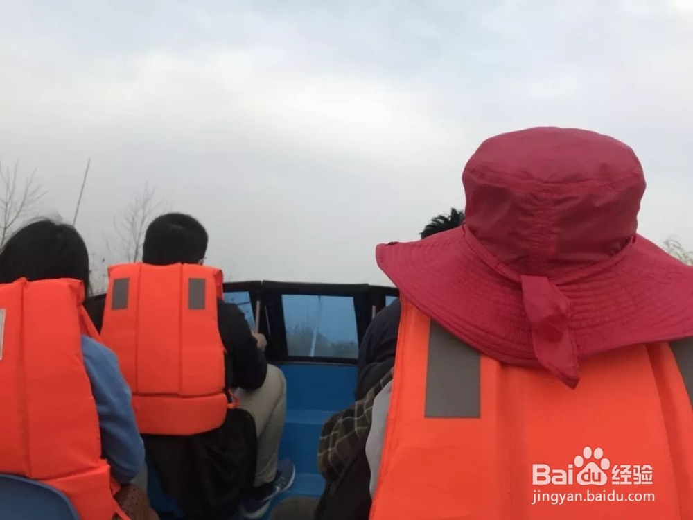 高邮周末踏青一日游推荐