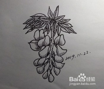 <b>花卉画法教程：怎么画藤萝？如何画紫藤萝</b>
