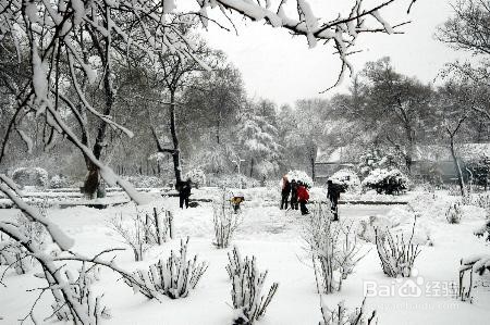 雪花怎么形容