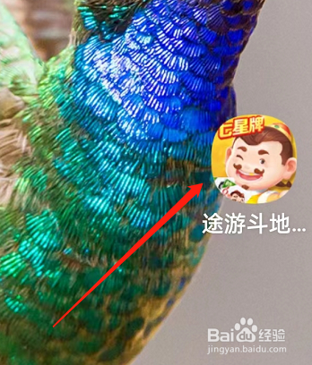 途游斗地主如何设置在线状态