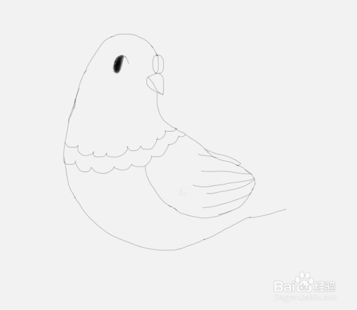 如何教儿童画简笔画鸽子