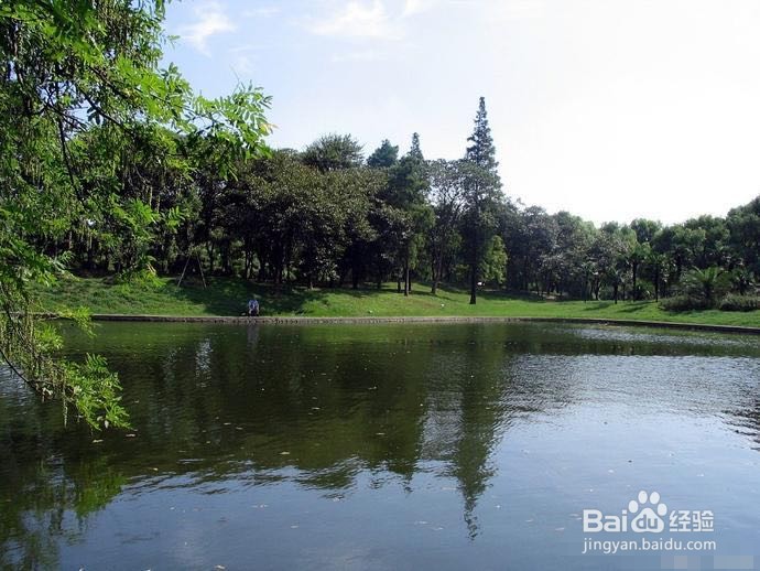 北京北宫国家森林公园旅游攻略