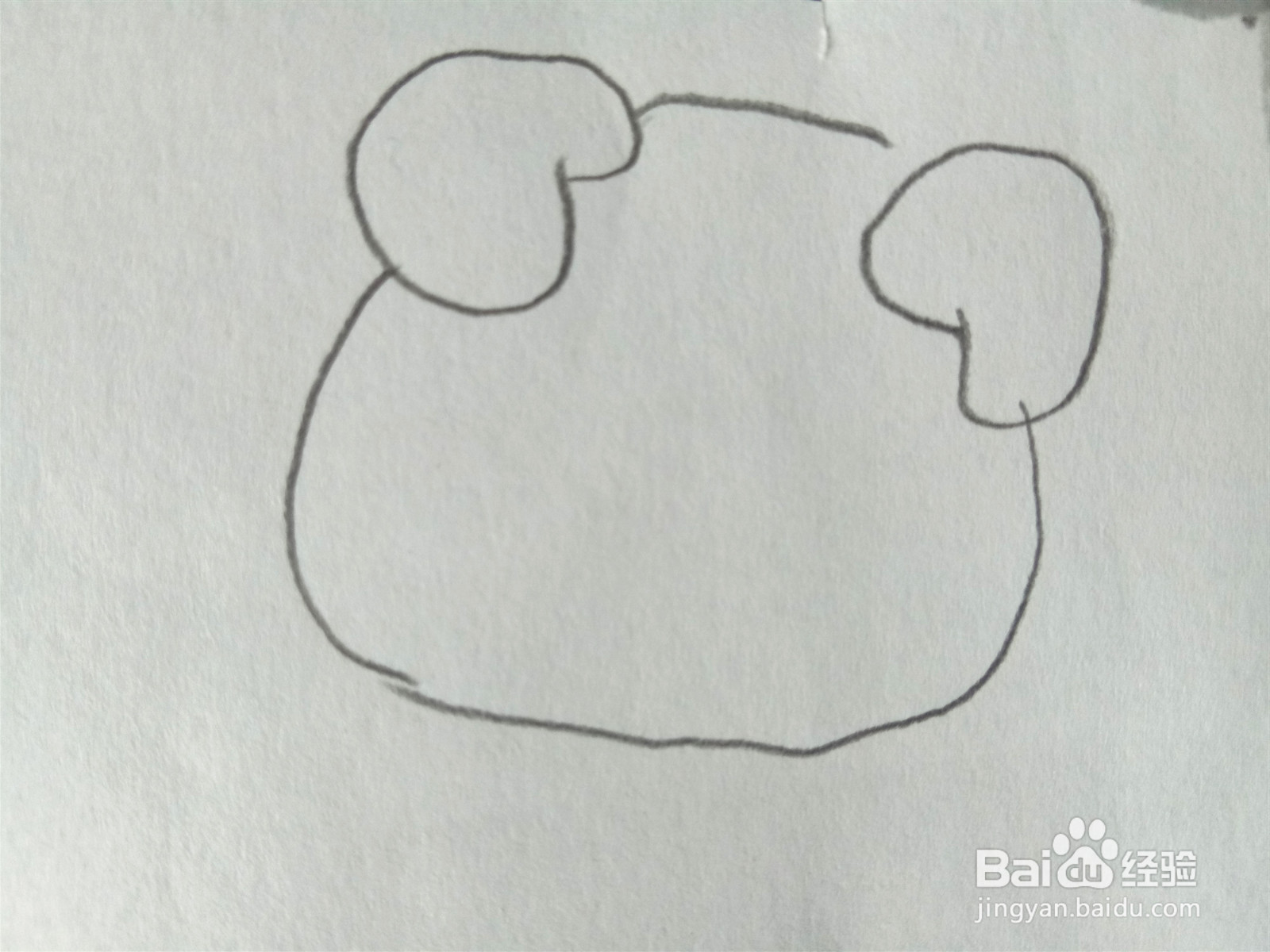 小猪简笔画彩色