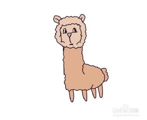 怎么画儿童彩色简笔画卡通动物羊驼?