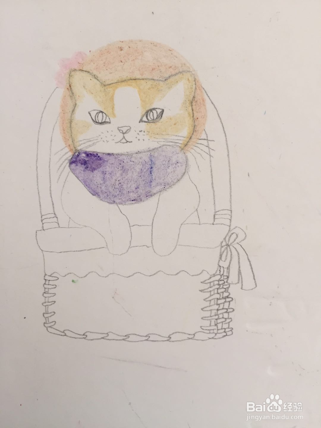 插画教程之猫咪