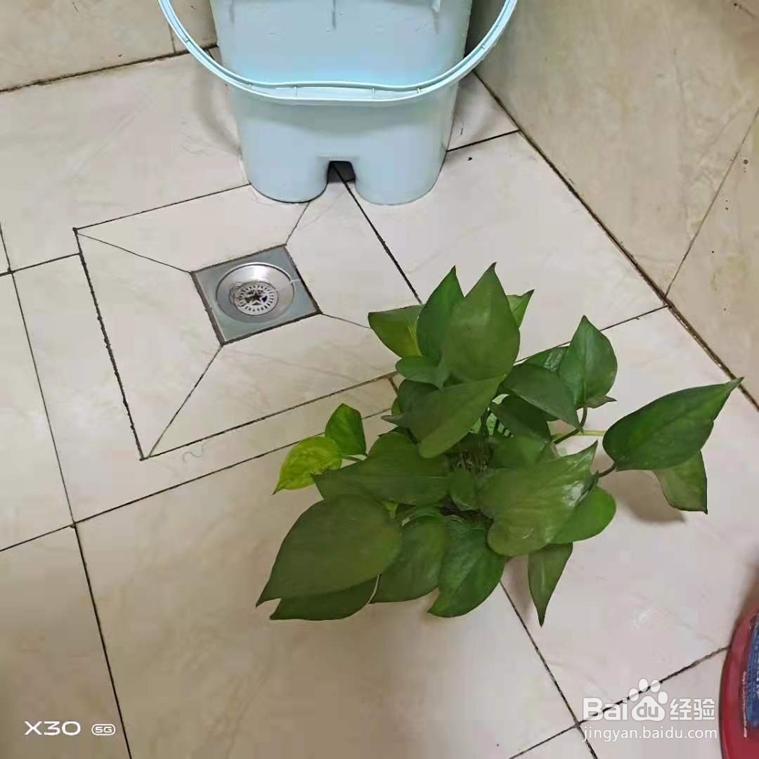 封闭卫生间怎么通风除臭