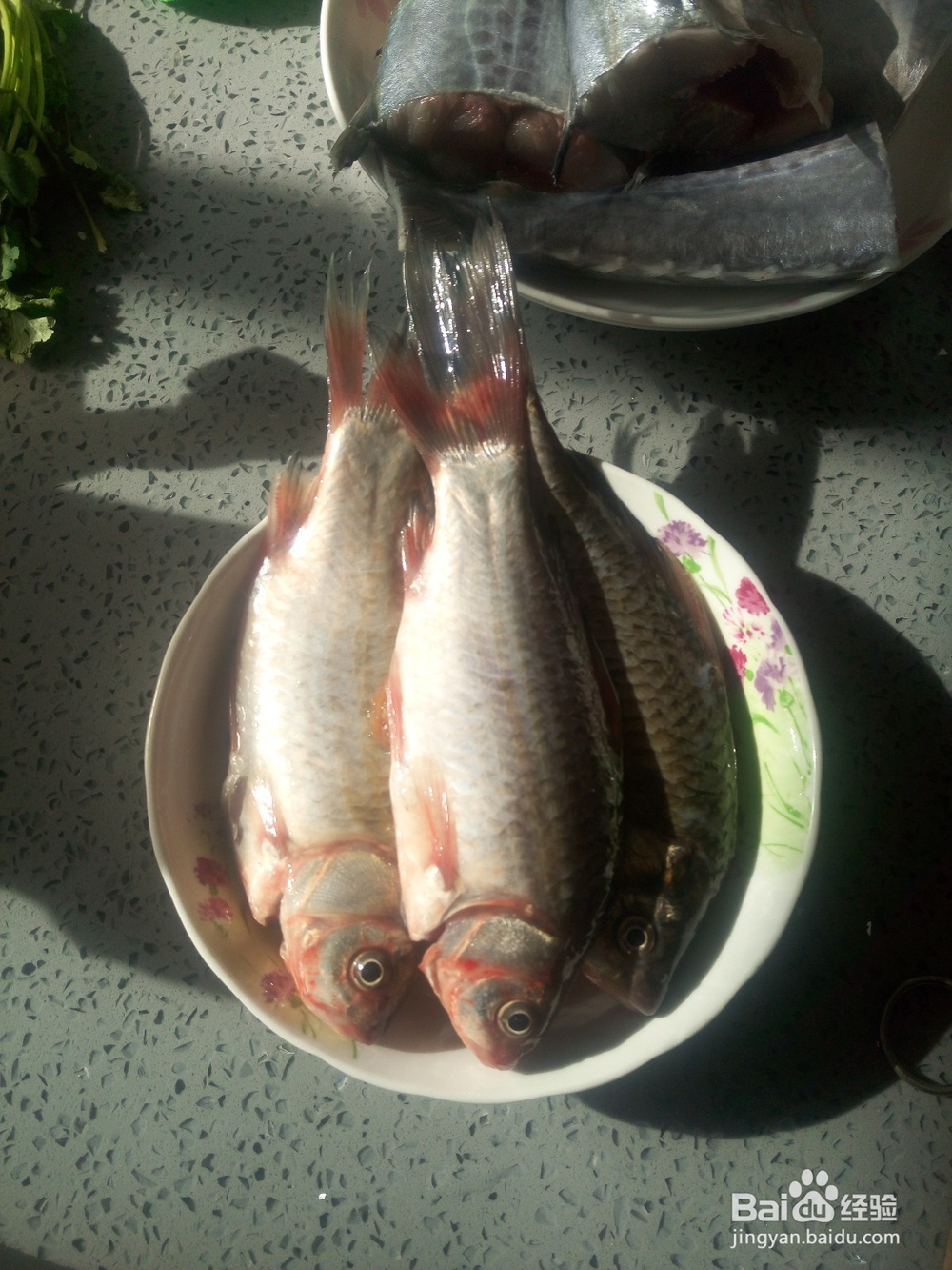 鲫鱼豆腐汤的做法