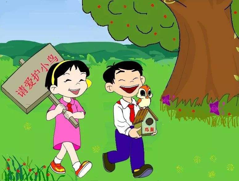 几句关于爱护小鸟的警句