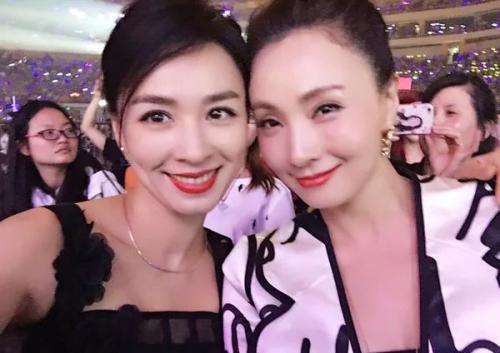 张庭和陶虹是什么关系