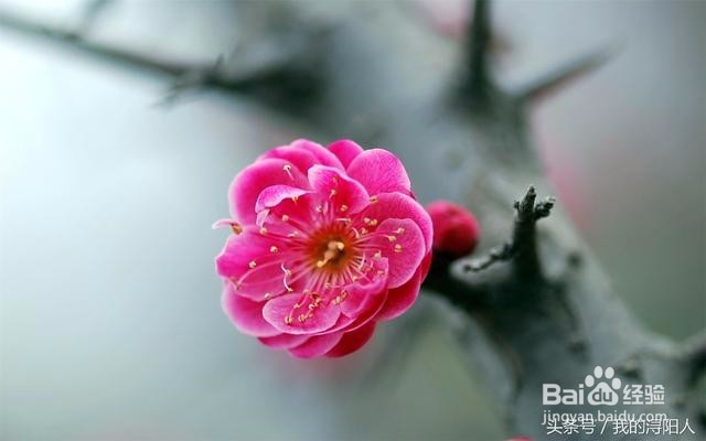 《孩子该怎样教育》之带孩子接触大自然