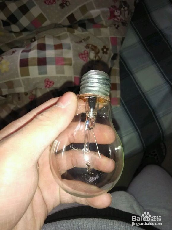 灯泡盆景怎么制作